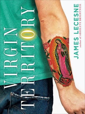 cover image of Virgin Territory